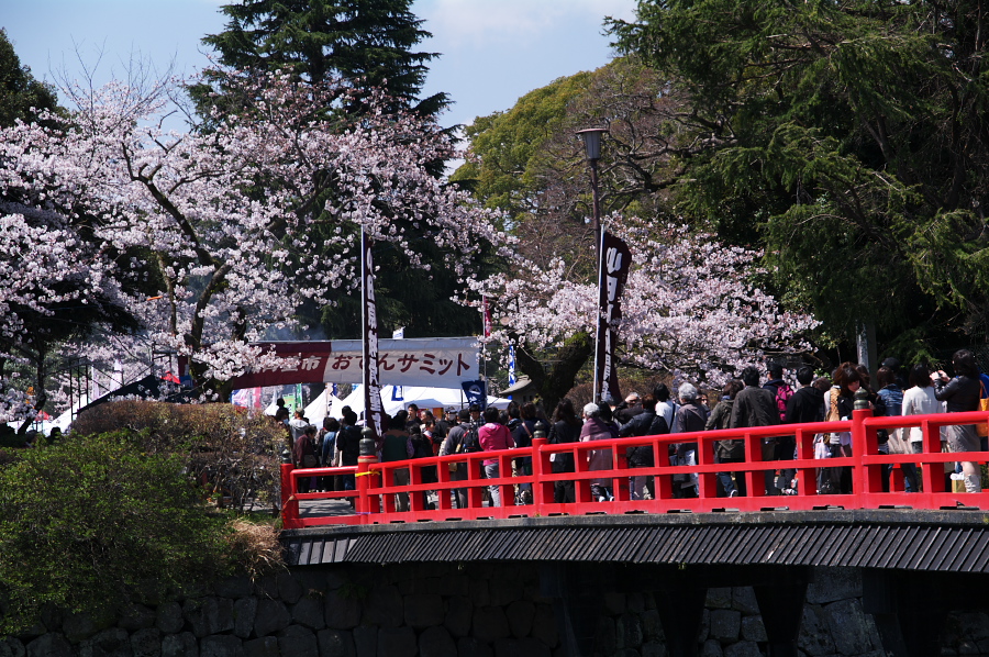 IMGP0195.jpg(516624 byte)