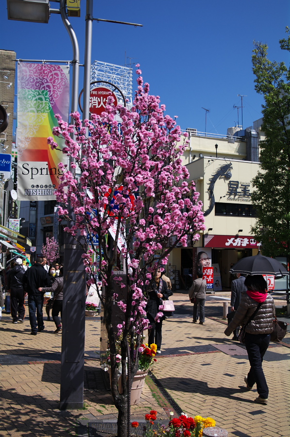 IMGP0222.jpg(472022 byte)