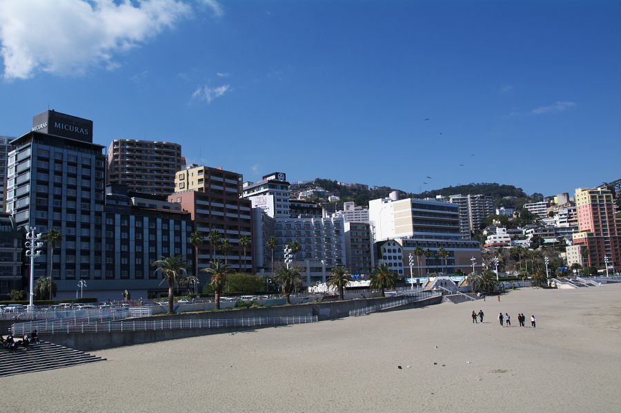 IMGP0259.jpg(293994 byte)