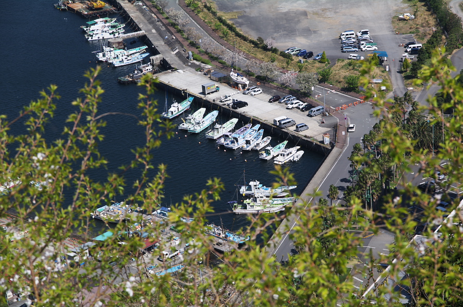 IMGP0015.jpg(482496 byte)