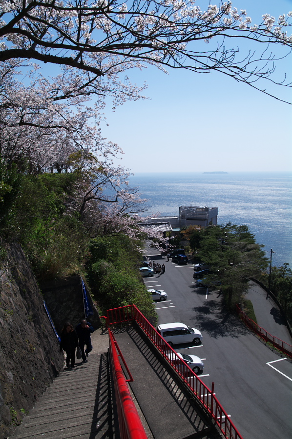 IMGP0036.jpg(450418 byte)