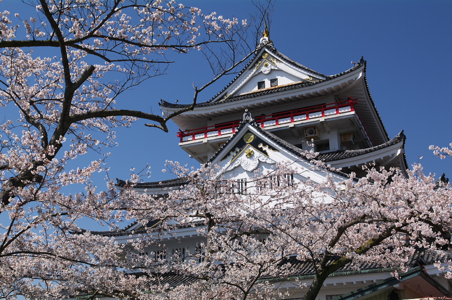 IMGP0050.jpg(539263 byte)