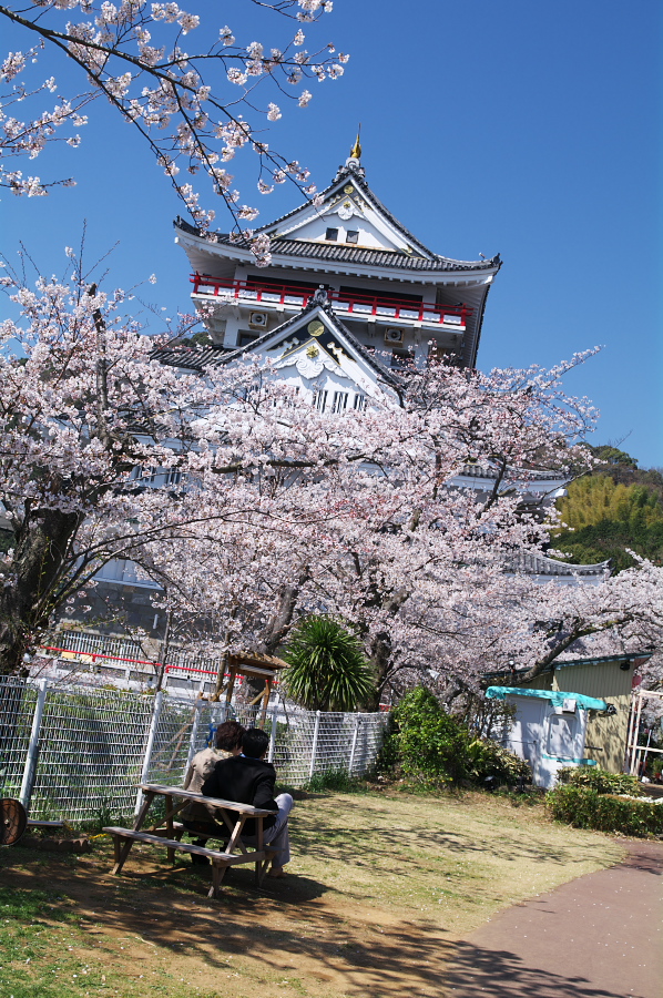 IMGP0052.jpg(522754 byte)