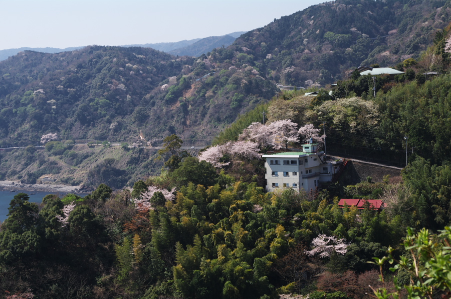 IMGP0075.jpg(433668 byte)