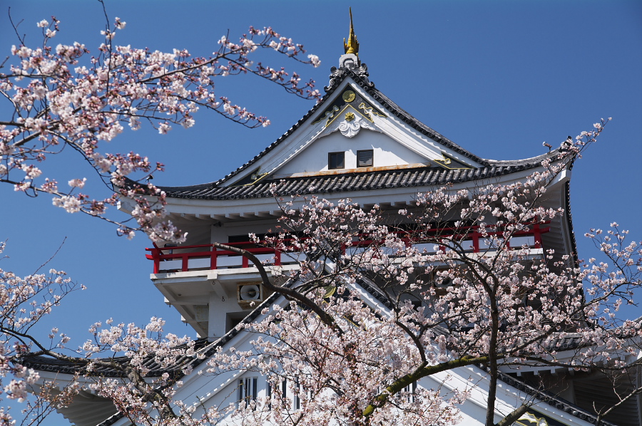 IMGP0094.jpg(463990 byte)