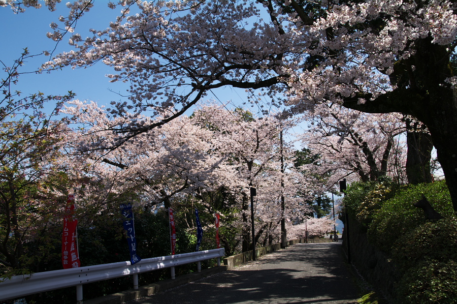 IMGP0095.jpg(577842 byte)