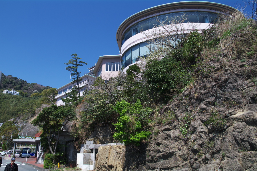 IMGP0122.jpg(487071 byte)