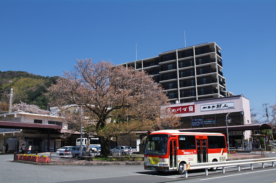 IMGP0123.jpg(363521 byte)