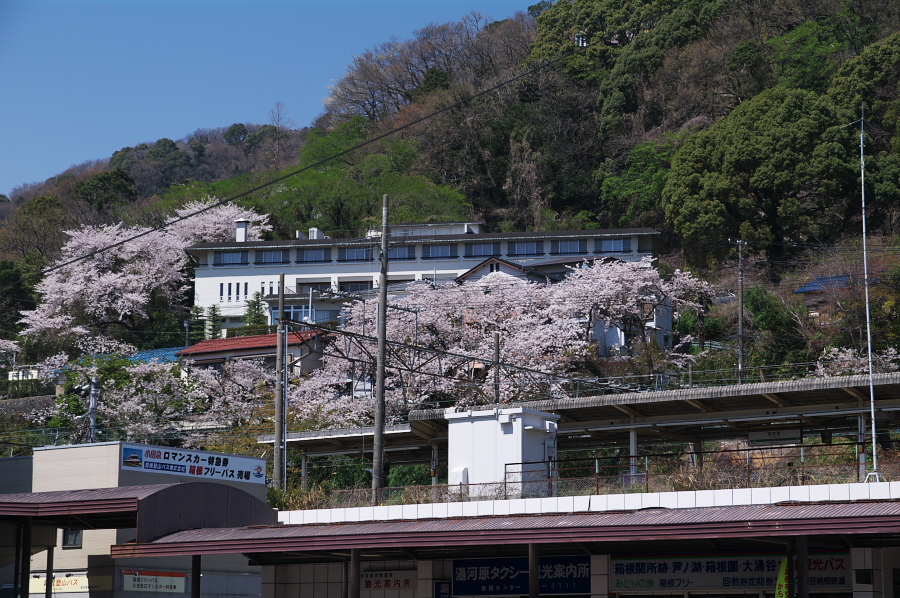 IMGP0126.jpg(436468 byte)