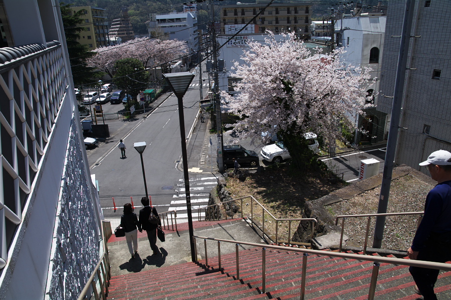 IMGP0131.jpg(471250 byte)