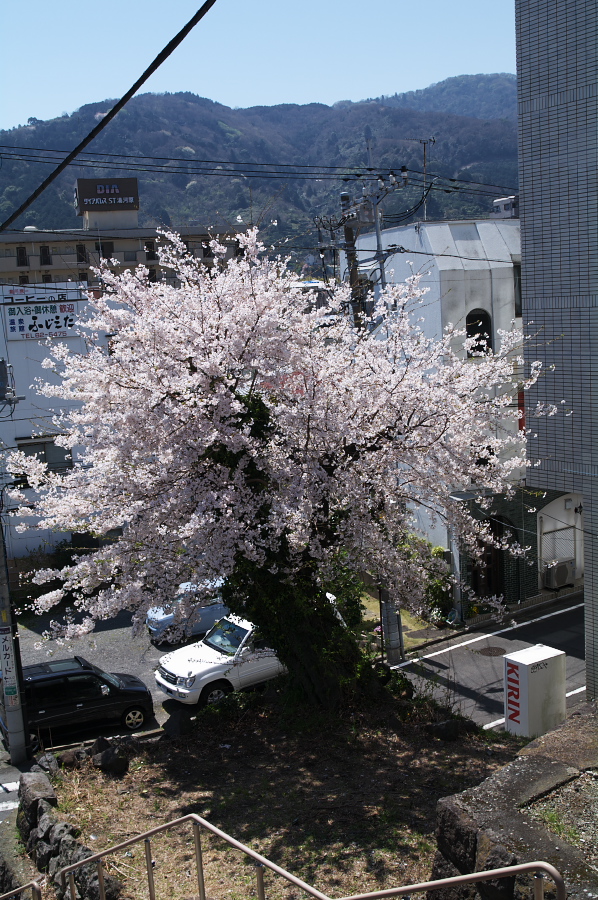 IMGP0132.jpg(475933 byte)