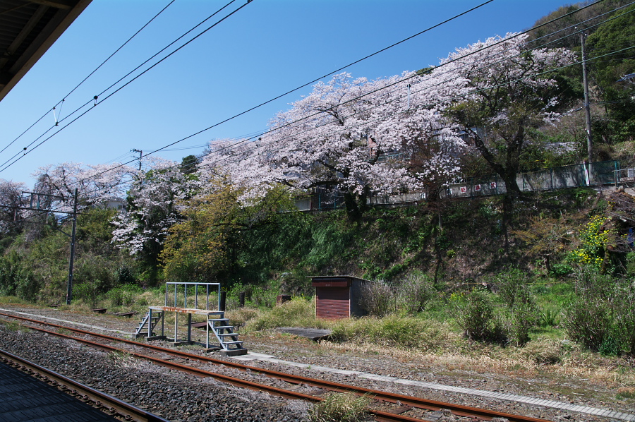 IMGP0140.jpg(522485 byte)