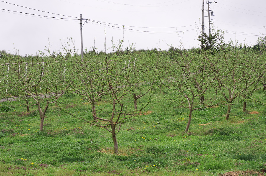 IMGP0764.jpg(522964 byte)