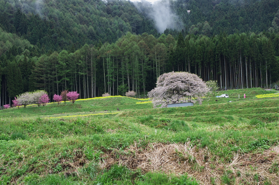 IMGP0773.jpg(526853 byte)