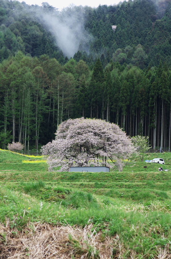 IMGP0775.jpg(480087 byte)