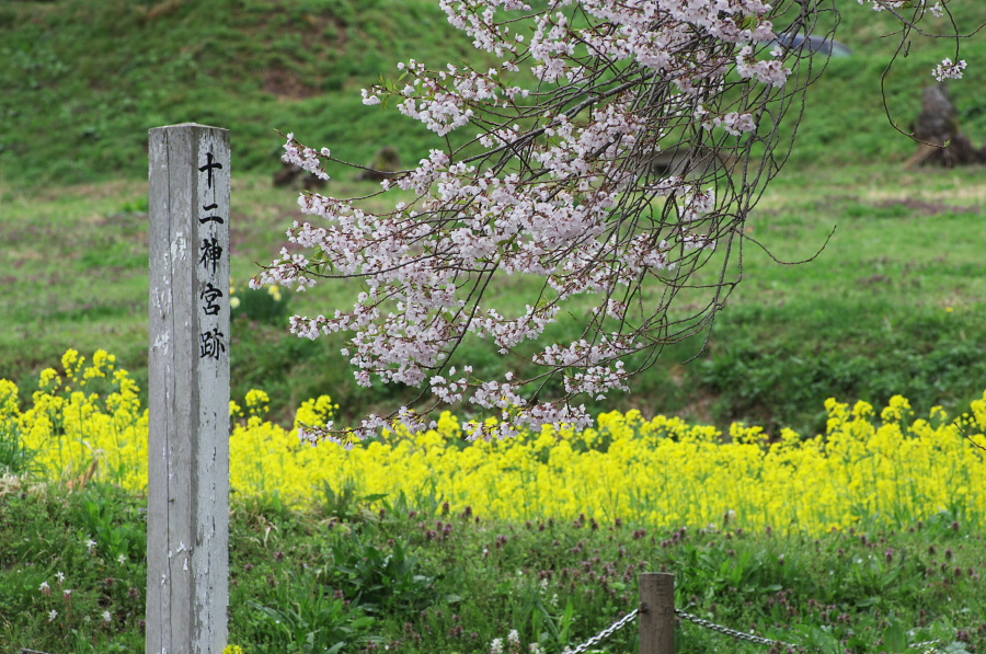 IMGP0788.jpg(472969 byte)