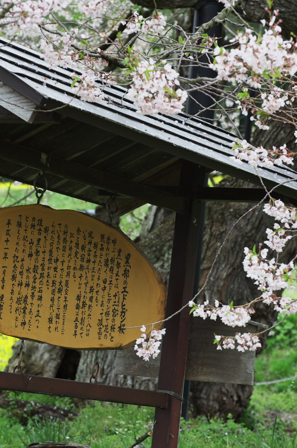 IMGP0792.jpg(404483 byte)