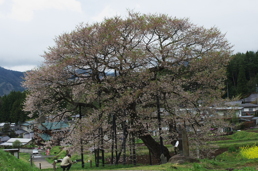 IMGP0798.jpg(495122 byte)