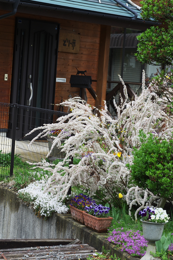 IMGP0814.jpg(501662 byte)