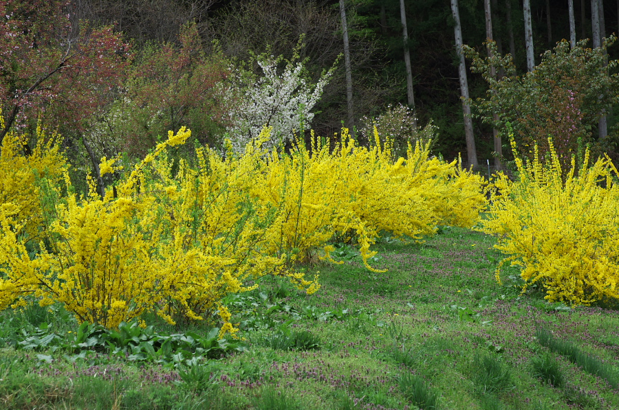 IMGP0816.jpg(623843 byte)