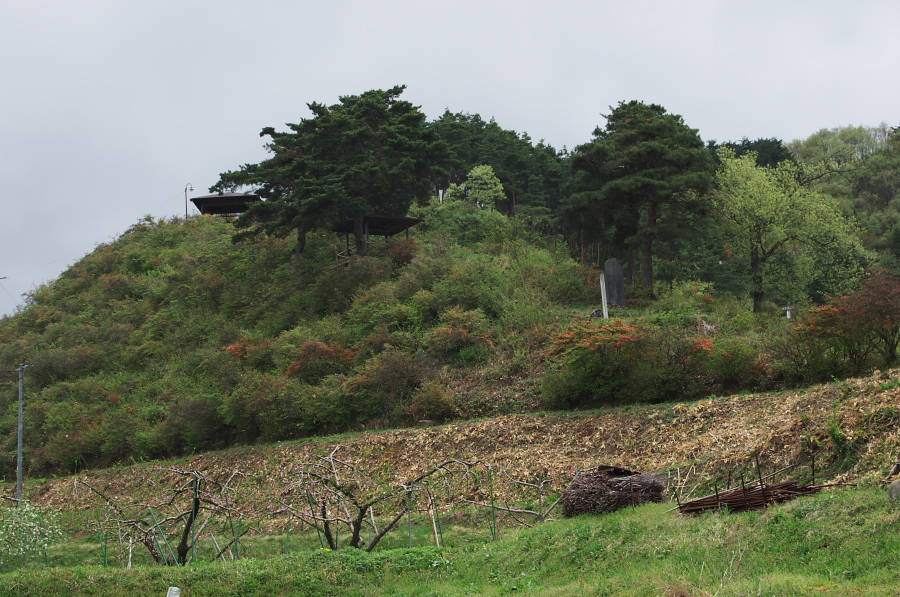 IMGP0843.jpg(415121 byte)