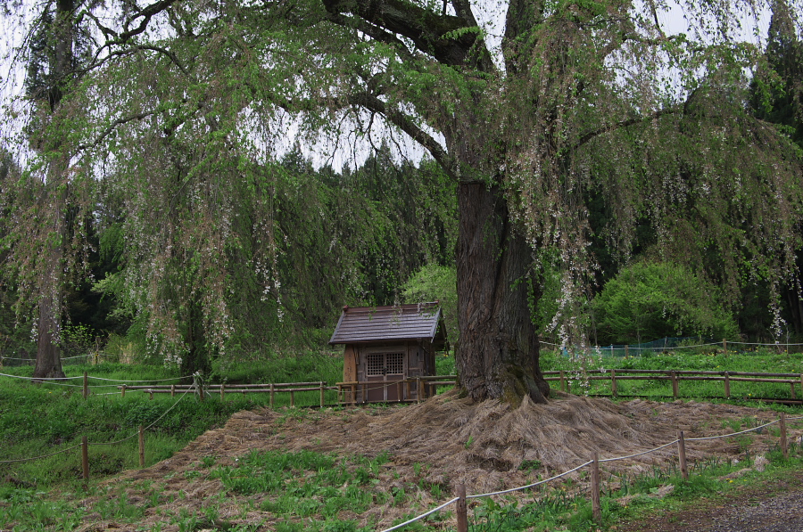 IMGP0861.jpg(578866 byte)