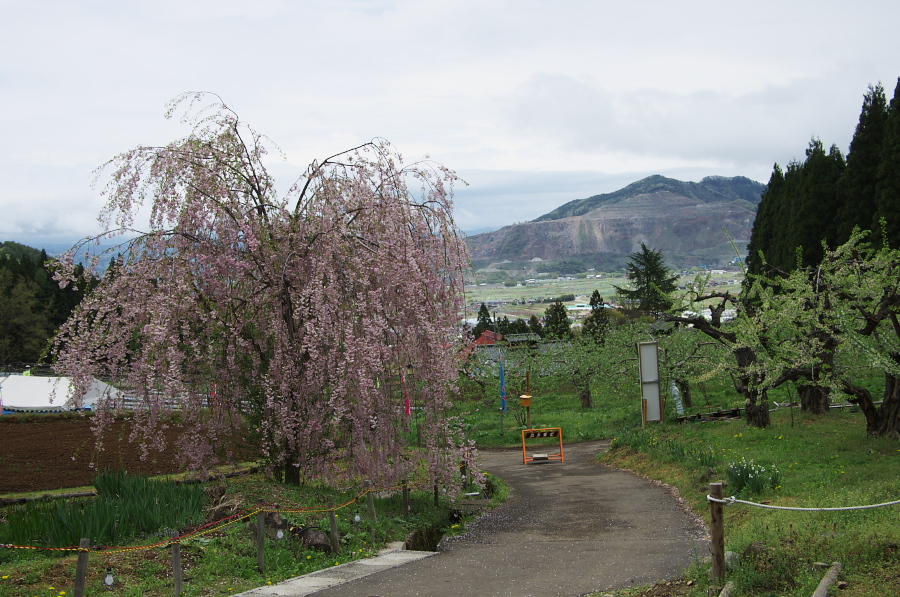 IMGP0869.jpg(401508 byte)