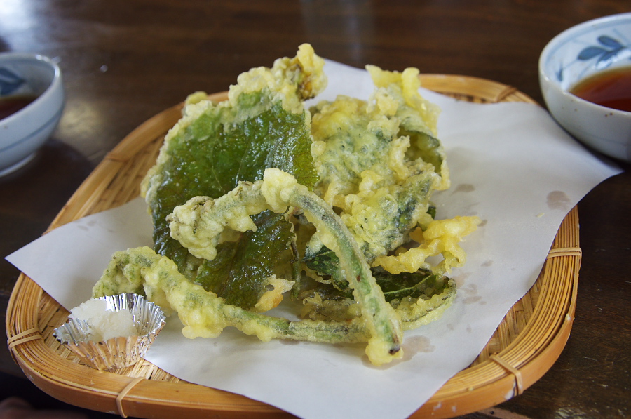 IMGP0882.jpg(301032 byte)