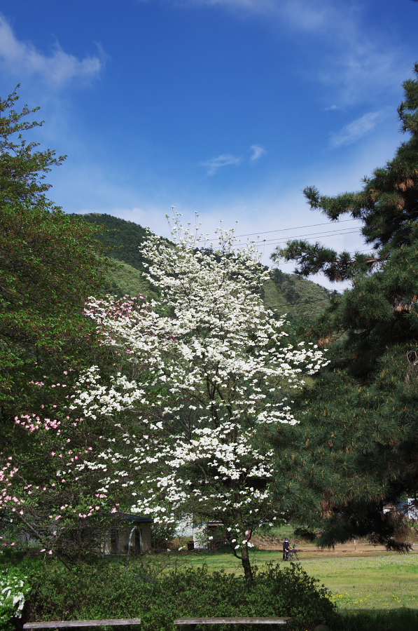 IMGP0903.jpg(446368 byte)