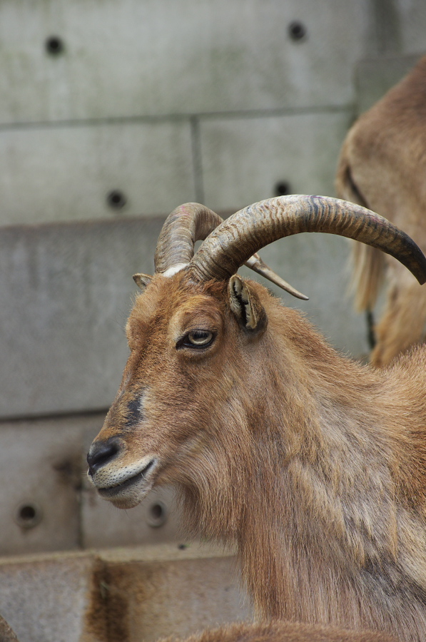 IMGP0931.jpg(285663 byte)