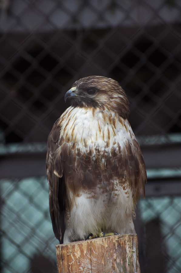 IMGP0948.jpg(225323 byte)