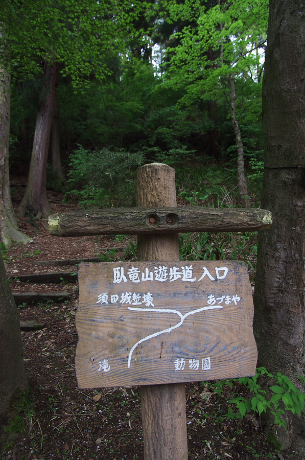 IMGP0961.jpg(445422 byte)