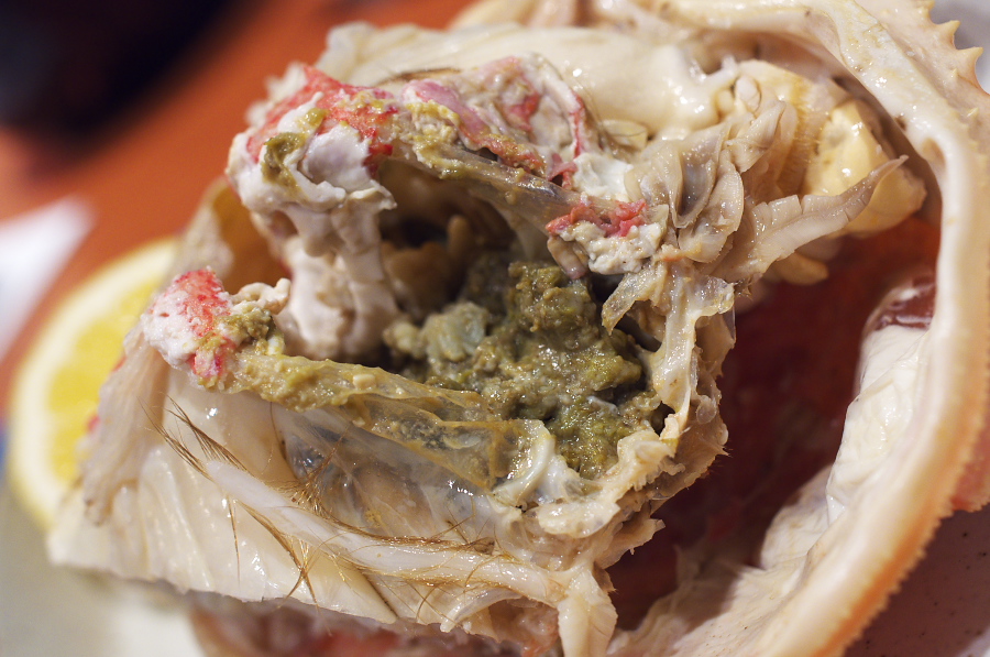 IMGP1002.jpg(314322 byte)