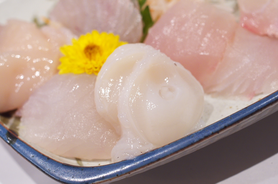 IMGP1010.jpg(232942 byte)