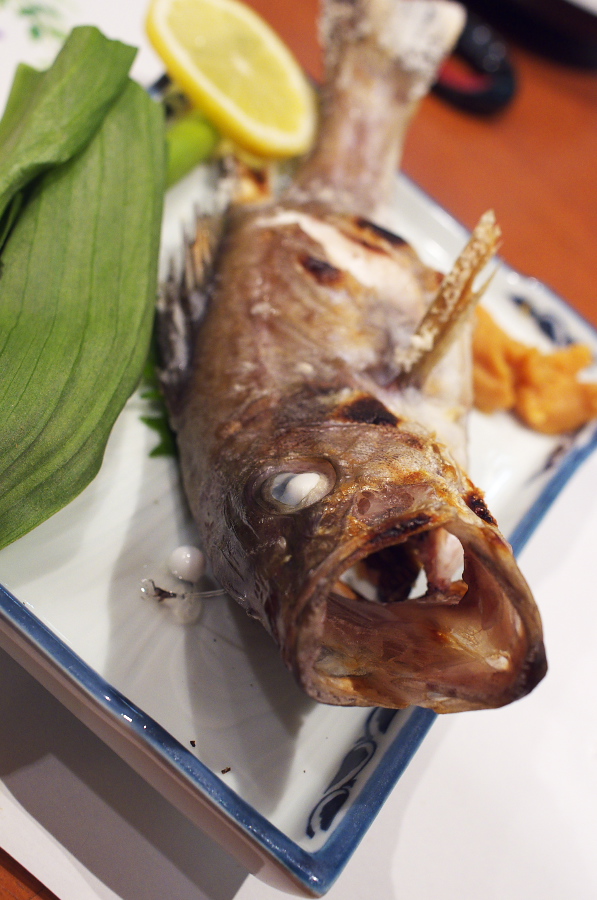 IMGP1046.jpg(282756 byte)