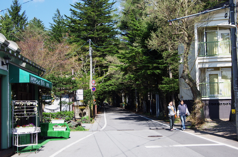 IMGP1109.jpg(550016 byte)