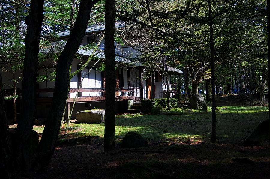 IMGP1111.jpg(461055 byte)