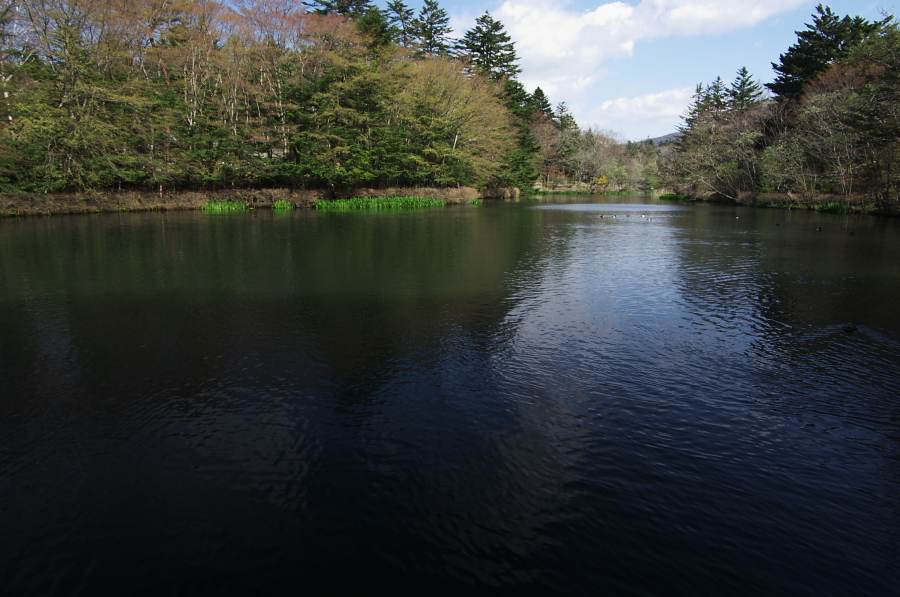 IMGP1126.jpg(315634 byte)