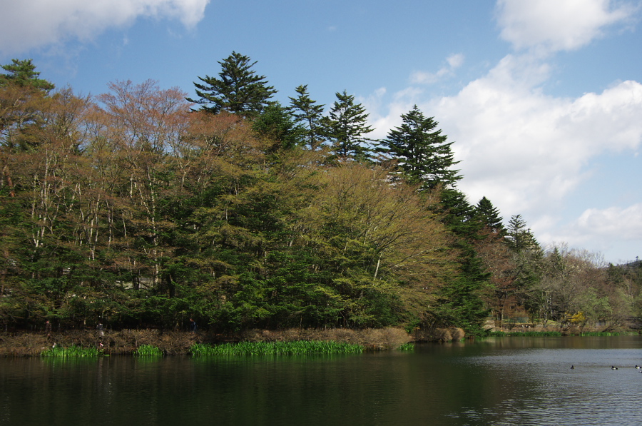 IMGP1128.jpg(380819 byte)