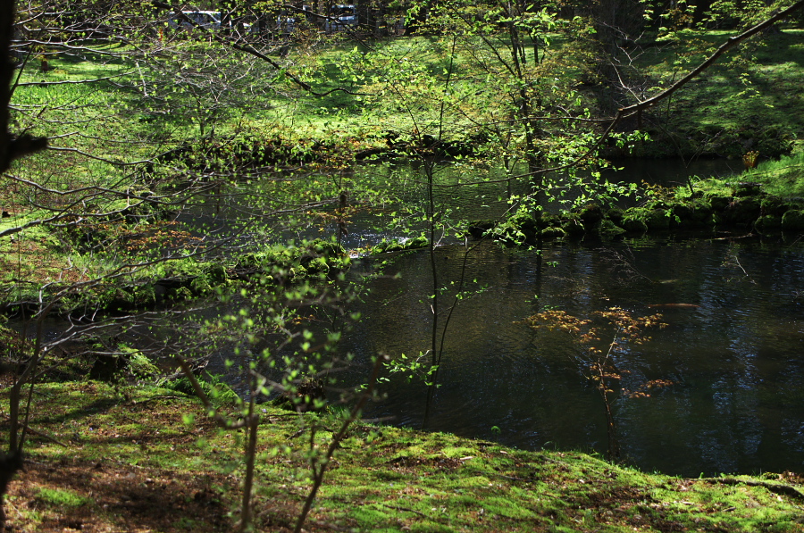 IMGP1130.jpg(601115 byte)