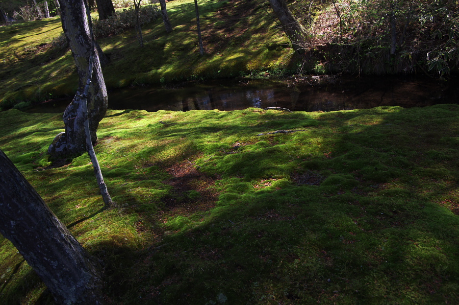 IMGP1143.jpg(433551 byte)