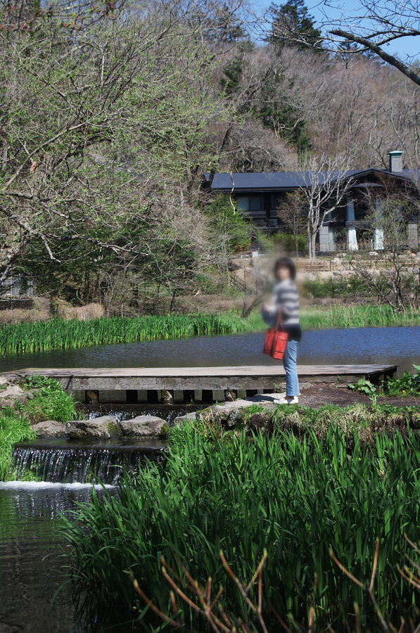 IMGP1152.jpg(548242 byte)