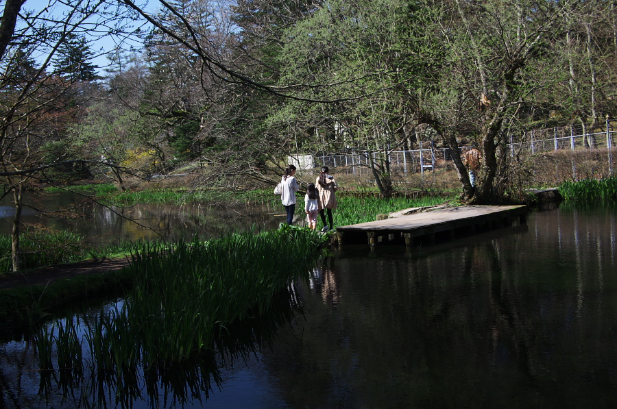 IMGP1156.jpg(473594 byte)