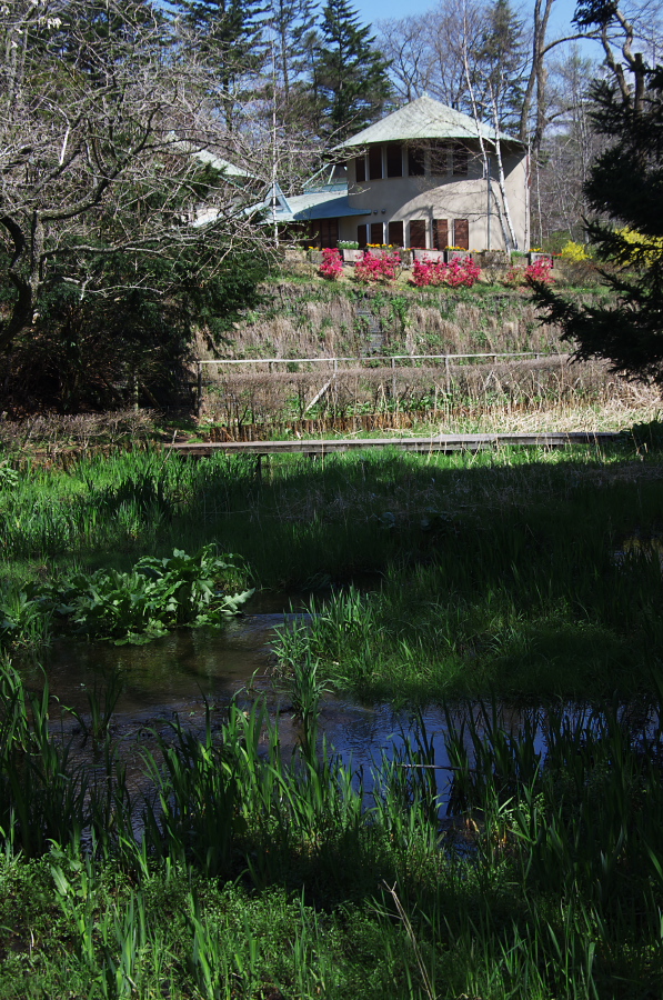 IMGP1157.jpg(534266 byte)