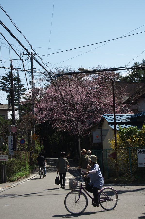 IMGP1161.jpg(385724 byte)