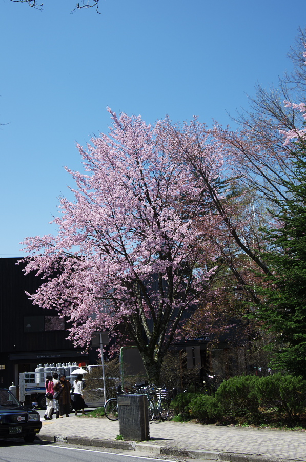 IMGP1177.jpg(439387 byte)