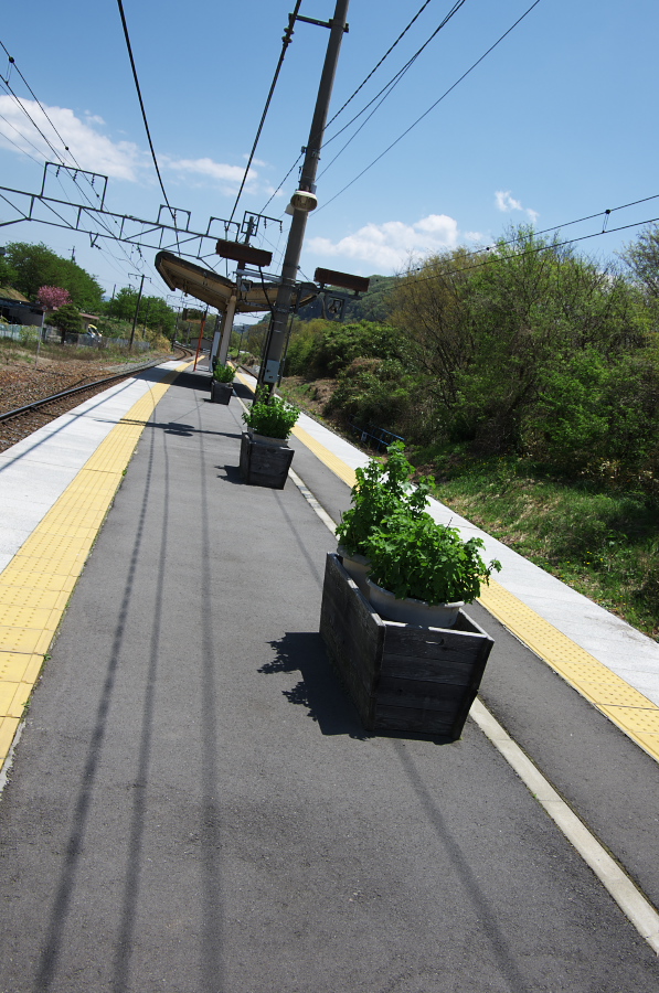 IMGP1189.jpg(376526 byte)