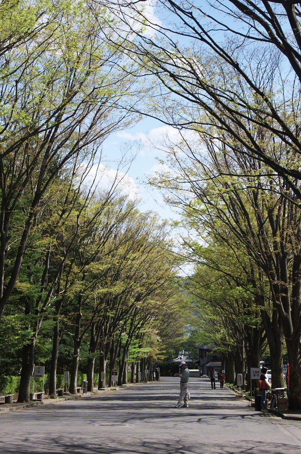 IMGP1298.jpg(617809 byte)