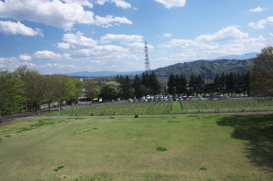 IMGP1301.jpg(349074 byte)