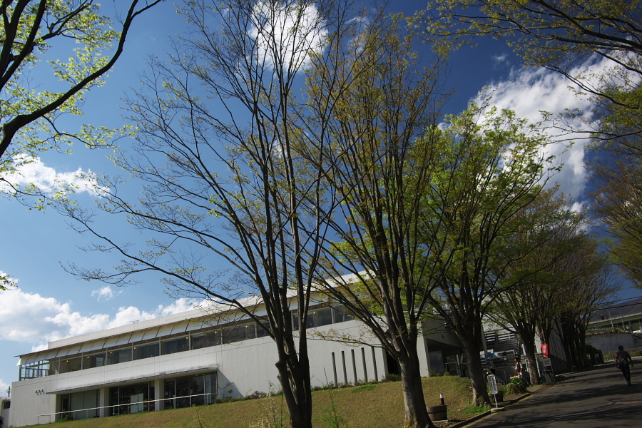 IMGP1320.jpg(505601 byte)